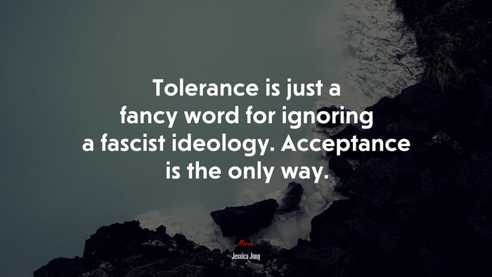 Tolerance is just a fancy word for ignoring a fascist ideology. Acceptance is the only way. | Jessica Jung quote