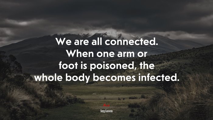 We are all connected. When one arm or foot is poisoned, the whole body becomes infected. | Suzy Kassem quote