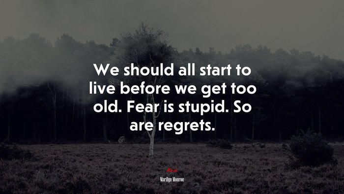 We should all start to live before we get too old. Fear is stupid. So are regrets. | Marilyn Monroe quote