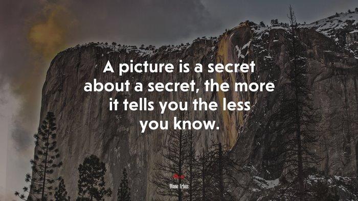 A picture is a secret about a secret, the more it tells you the less you know. | Diane Arbus quote
