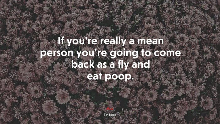 If you’re really a mean person you’re going to come back as a fly and eat poop. | Kurt Cobain quote