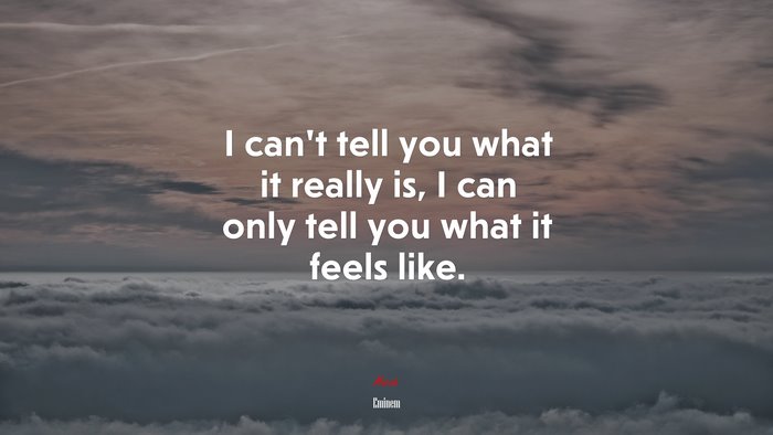 I can’t tell you what it really is, I can only tell you what it feels like. | Eminem quote