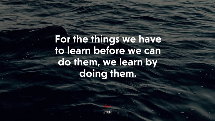 For the things we have to learn before we can do them, we learn by doing them. | Aristotle quote