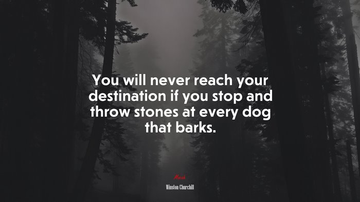 You will never reach your destination if you stop and throw stones at every dog that barks. | Winston Churchill quote