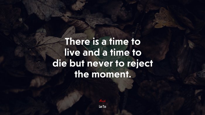 There is a time to live and a time to die but never to reject the moment. | Lao Tzu quote