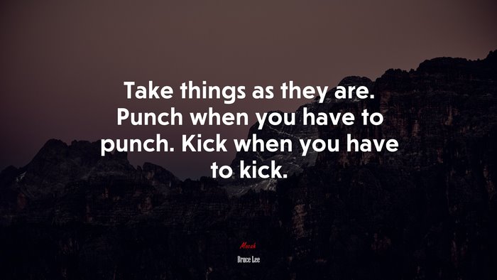 Take things as they are. Punch when you have to punch. Kick when you have to kick. | Bruce Lee quote