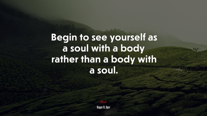 Begin to see yourself as a soul with a body rather than a body with a soul. | Wayne W. Dyer quote