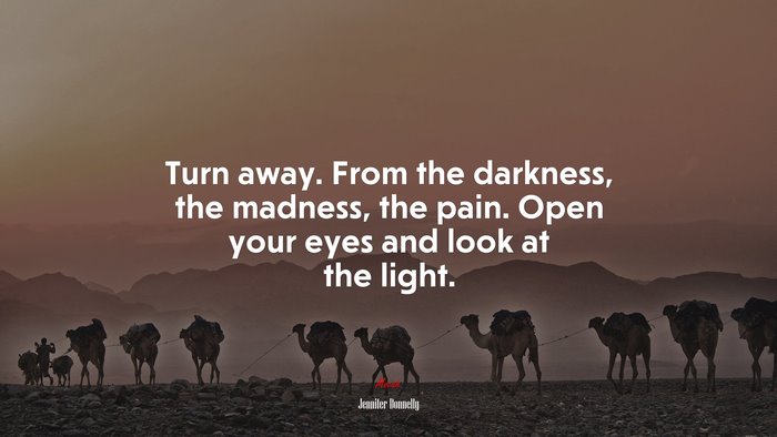 Turn away. From the darkness, the madness, the pain. Open your eyes and look at the light. | Jennifer Donnelly quote