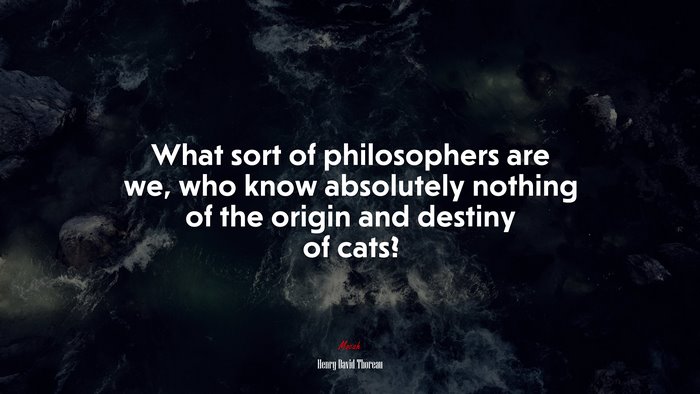 What sort of philosophers are we, who know absolutely nothing of the origin and destiny of cats? | Henry David Thoreau quote