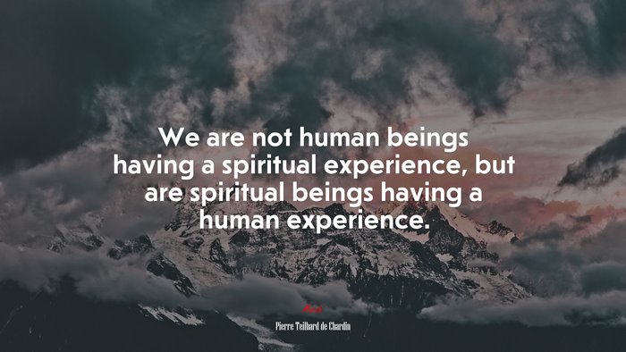 We are not human beings having a spiritual experience, but are spiritual beings having a human experience. | Pierre Teilhard de Chardin quote