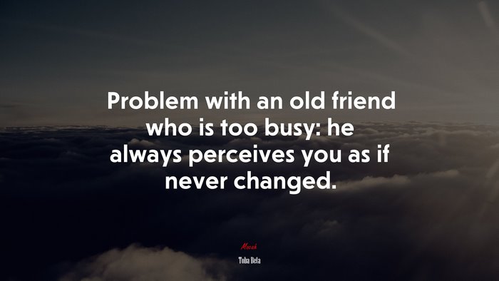 Problem with an old friend who is too busy: he always perceives you as if never changed. | Toba Beta quote