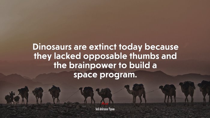 Dinosaurs are extinct today because they lacked opposable thumbs and the brainpower to build a space program. | Neil deGrasse Tyson quote