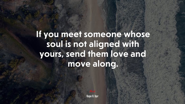 If you meet someone whose soul is not aligned with yours, send them love and move along. | Wayne W. Dyer quote
