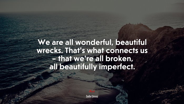 We are all wonderful, beautiful wrecks. That’s what connects us – that we’re all broken, all beautifully imperfect. | Emilio Estevez quote