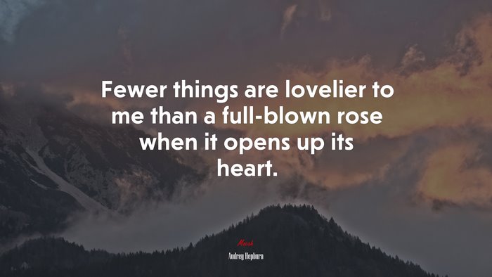 Fewer things are lovelier to me than a full-blown rose when it opens up its heart. | Audrey Hepburn quote