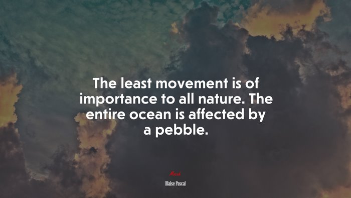 The least movement is of importance to all nature. The entire ocean is affected by a pebble. | Blaise Pascal quote