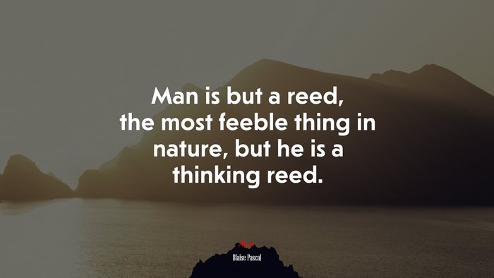 Man is but a reed, the most feeble thing in nature, but he is a thinking reed. | Blaise Pascal quote