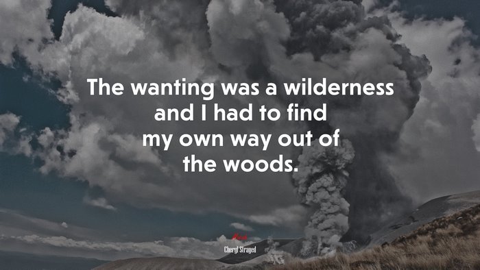The wanting was a wilderness and I had to find my own way out of the woods. | Cheryl Strayed quote