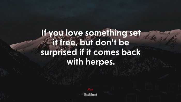 If you love something set it free, but don’t be surprised if it comes back with herpes. | Chuck Palahniuk quote