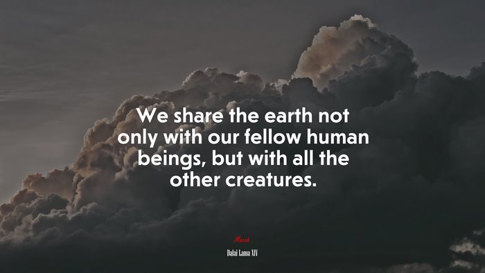 We share the earth not only with our fellow human beings, but with all the other creatures. | Dalai Lama XIV quote