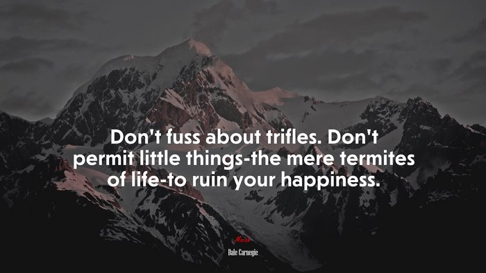 Don’t fuss about trifles. Don’t permit little things-the mere termites of life-to ruin your happiness. | Dale Carnegie quote