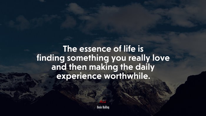 The essence of life is finding something you really love and then making the daily experience worthwhile. | Denis Waitley quote