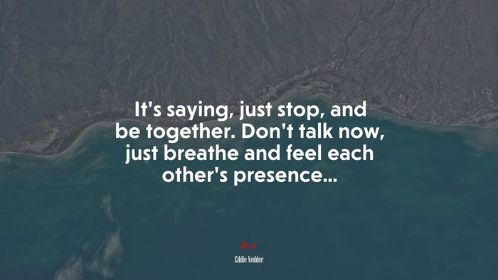 It’s saying, just stop, and be together. Don’t talk now, just breathe and feel each other’s presence... | Eddie Vedder quote