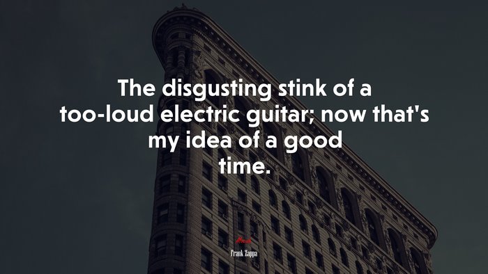 The disgusting stink of a too-loud electric guitar; now that’s my idea of a good time. | Frank Zappa quote