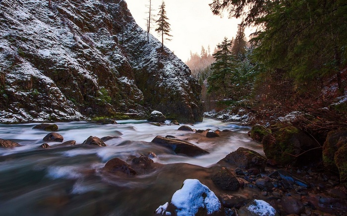 River flowing through a snowy forest canyon