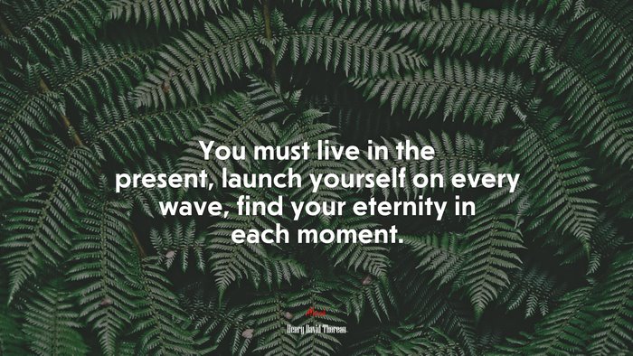 You must live in the present, launch yourself on every wave, find your eternity in each moment. | Henry David Thoreau quote