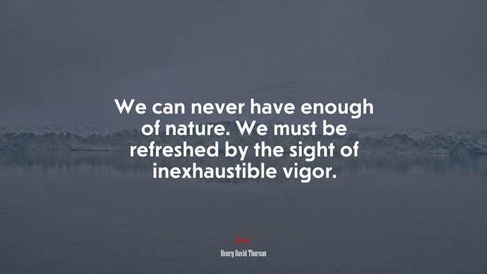 We can never have enough of nature. We must be refreshed by the sight of inexhaustible vigor. | Henry David Thoreau quote