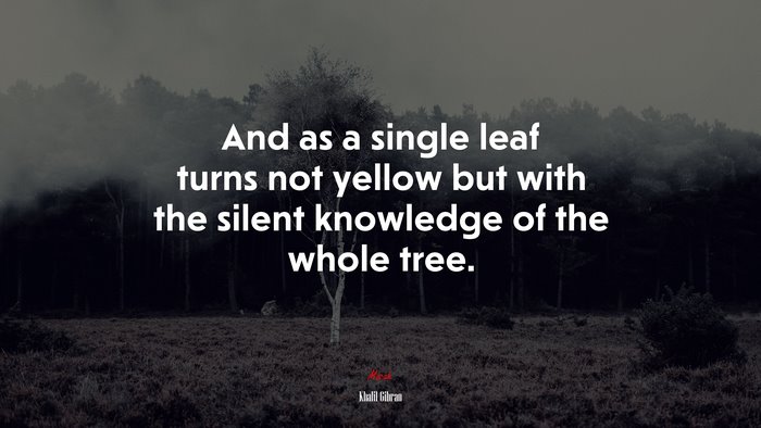 And as a single leaf turns not yellow but with the silent knowledge of the whole tree. | Khalil Gibran quote