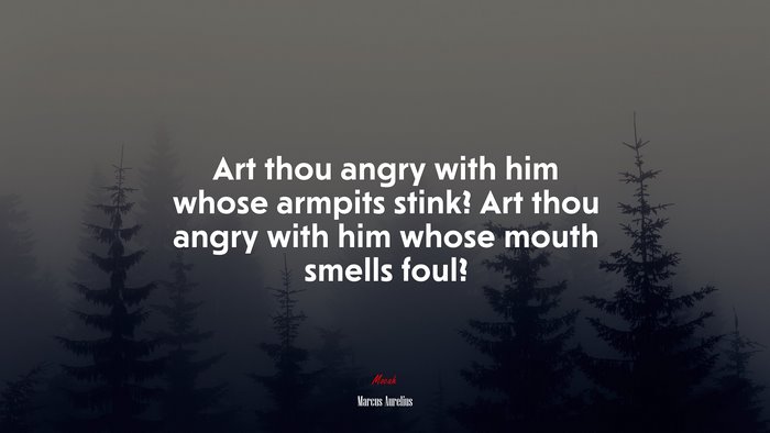 Art thou angry with him whose armpits stink? Art thou angry with him whose mouth smells foul? | Marcus Aurelius quote
