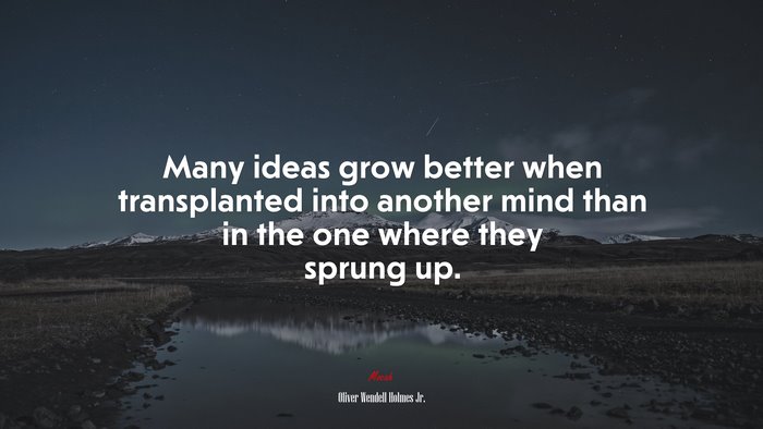 Many ideas grow better when transplanted into another mind than in the one where they sprung up. | Oliver Wendell Holmes Jr. quote