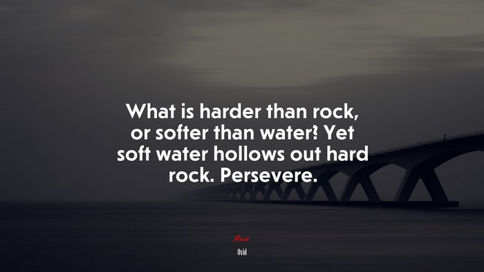 What is harder than rock, or softer than water? Yet soft water hollows out hard rock. Persevere. | Ovid quote