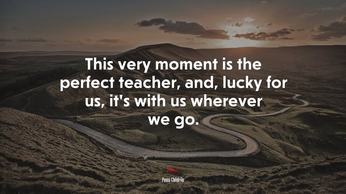 This very moment is the perfect teacher, and, lucky for us, it’s with us wherever we go. | Pema Chödrön quote