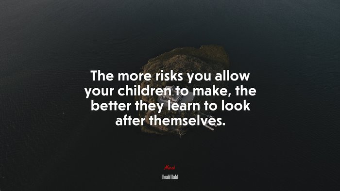 The more risks you allow your children to make, the better they learn to look after themselves. | Roald Dahl quote