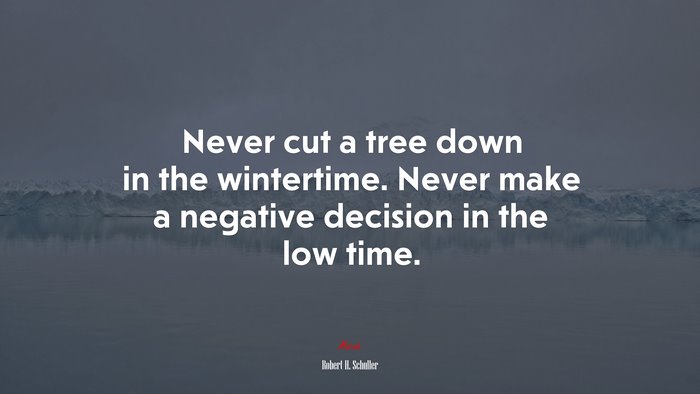 Never cut a tree down in the wintertime. Never make a negative decision in the low time. | Robert H. Schuller quote