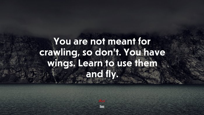 You are not meant for crawling, so don’t. You have wings. Learn to use them and fly. | Rumi quote