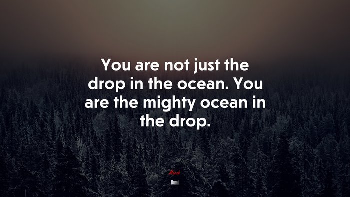 You are not just the drop in the ocean. You are the mighty ocean in the drop. | Rumi quote