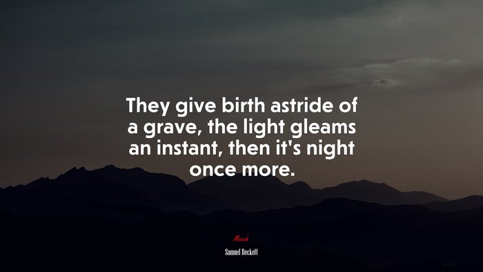 They give birth astride of a grave, the light gleams an instant, then it’s night once more. | Samuel Beckett quote