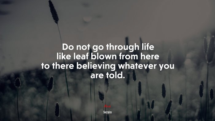 Do not go through life like leaf blown from here to there believing whatever you are told. | Socrates quote