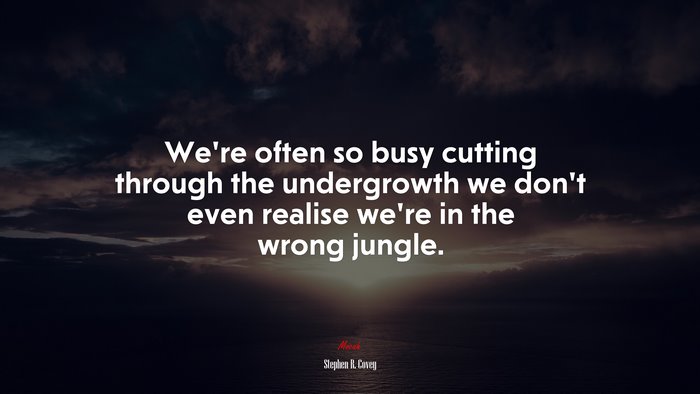 We’re often so busy cutting through the undergrowth we don’t even realise we’re in the wrong jungle. | Stephen R. Covey quote