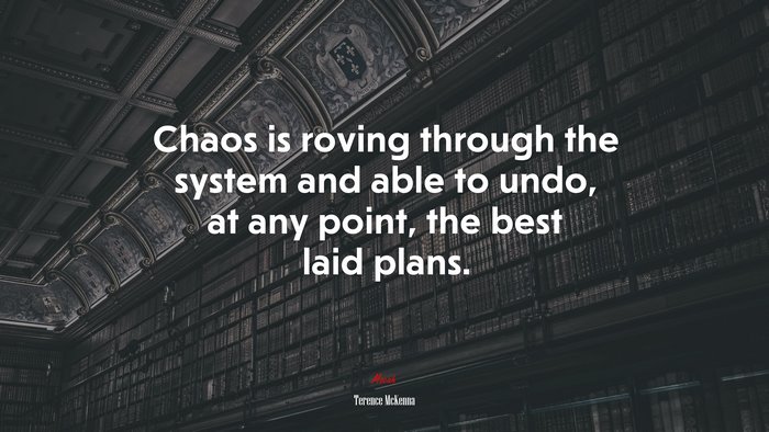 Chaos is roving through the system and able to undo, at any point, the best laid plans. | Terence McKenna quote