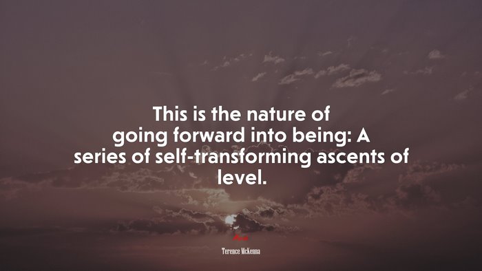 This is the nature of going forward into being: A series of self-transforming ascents of level. | Terence McKenna quote