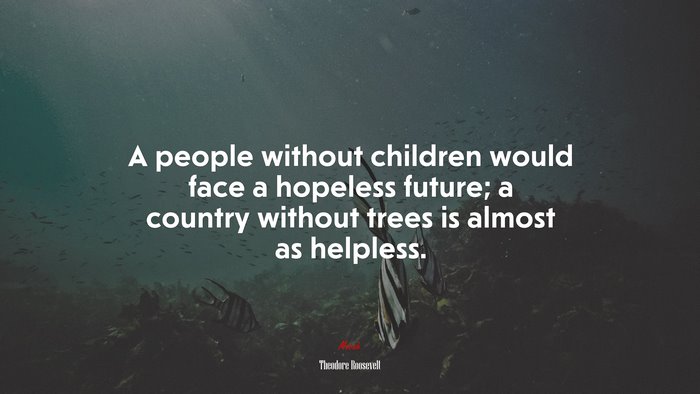 A people without children would face a hopeless future; a country without trees is almost as helpless. | Theodore Roosevelt quote