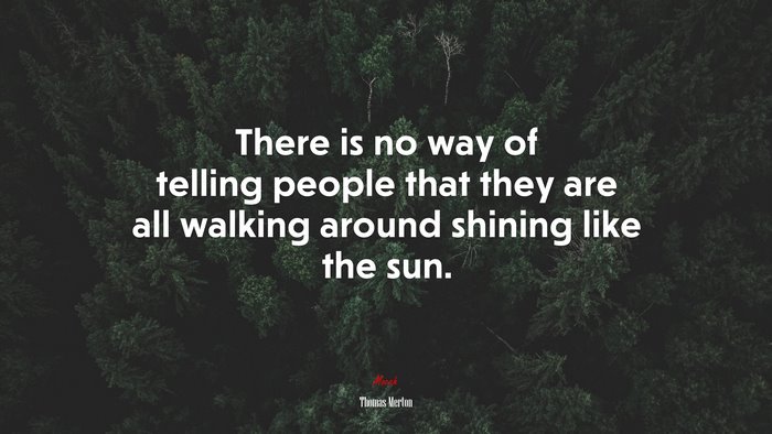 There is no way of telling people that they are all walking around shining like the sun. | Thomas Merton quote