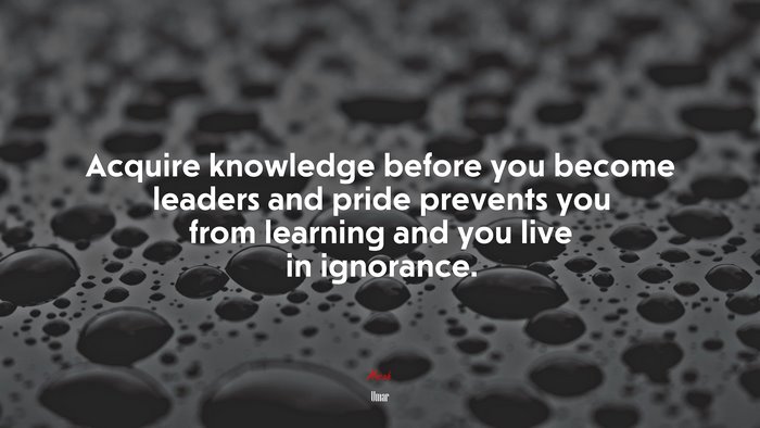 Acquire knowledge before you become leaders and pride prevents you from learning and you live in ignorance. | Umar quote