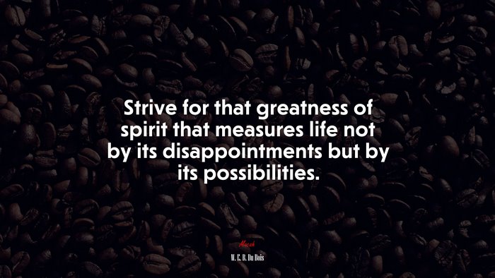 Strive for that greatness of spirit that measures life not by its disappointments but by its possibilities. | W. E. B. Du Bois quote