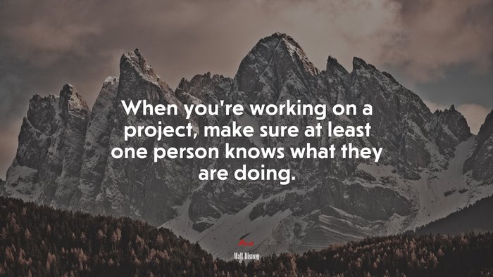 When you’re working on a project, make sure at least one person knows what they are doing. | Walt Disney quote